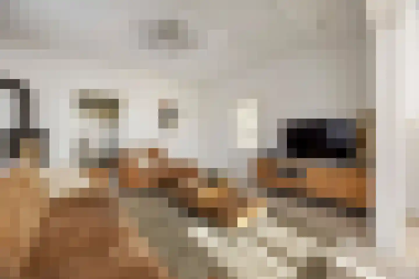 Rijksweg A 79 79 Klimmen thumbnail 11