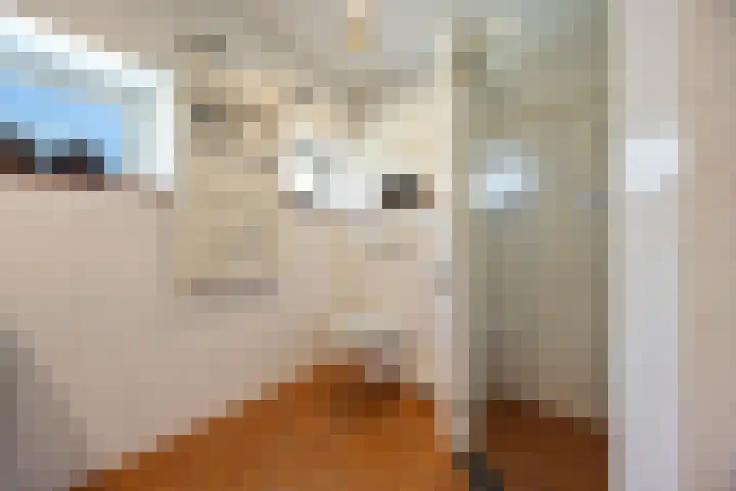 Rijksweg A 79 79 Klimmen thumbnail 17
