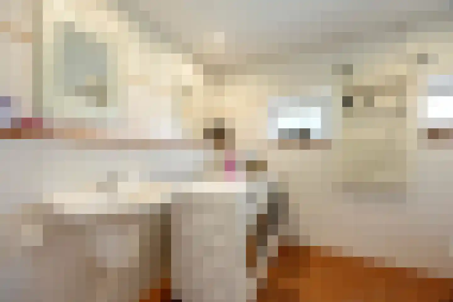 Rijksweg A 79 79 Klimmen thumbnail 19