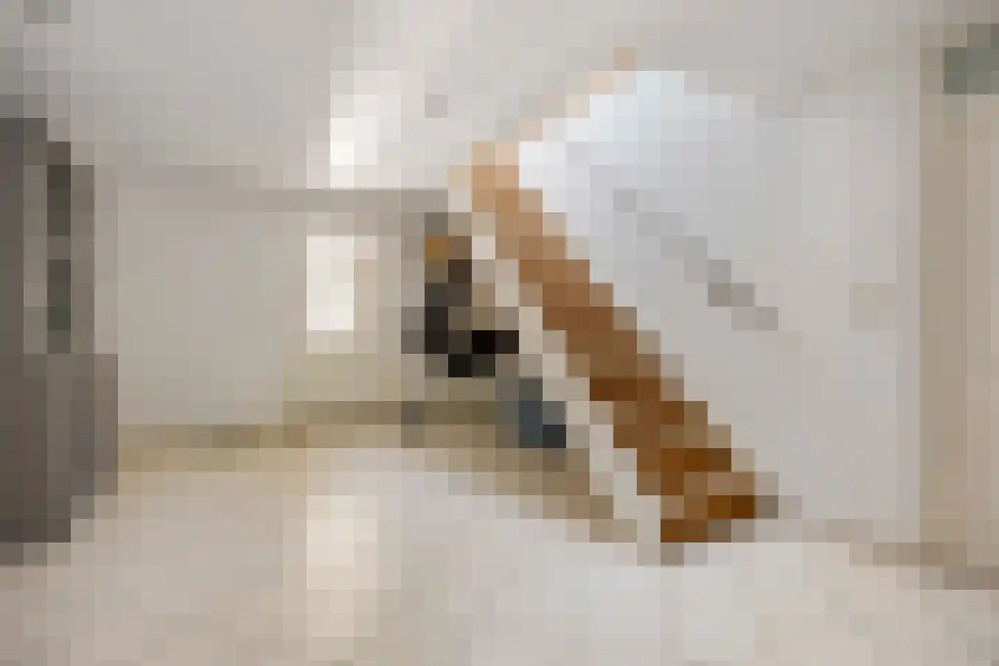 Rijksweg A 79 79 Klimmen thumbnail 22