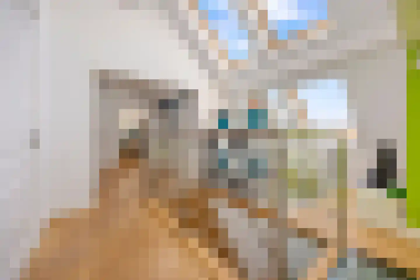 Rijksweg A 79 79 Klimmen thumbnail 23