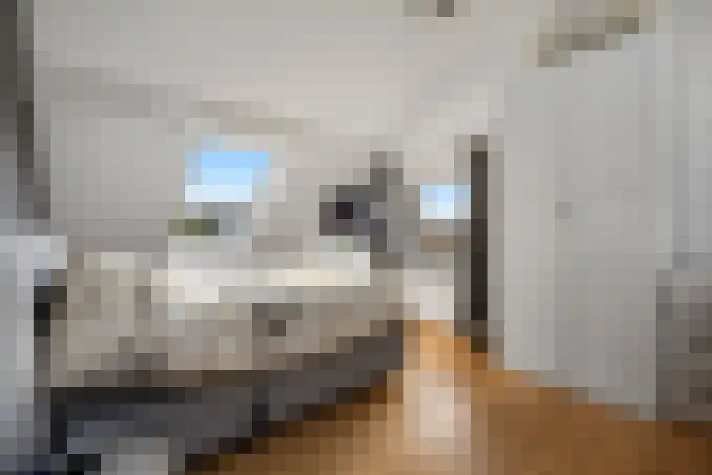 Rijksweg A 79 79 Klimmen thumbnail 27