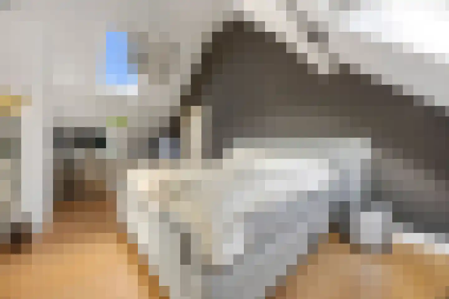Rijksweg A 79 79 Klimmen thumbnail 29