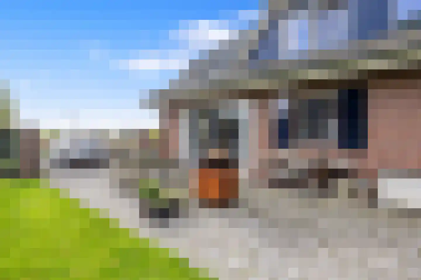 Rijksweg A 79 79 Klimmen thumbnail 56