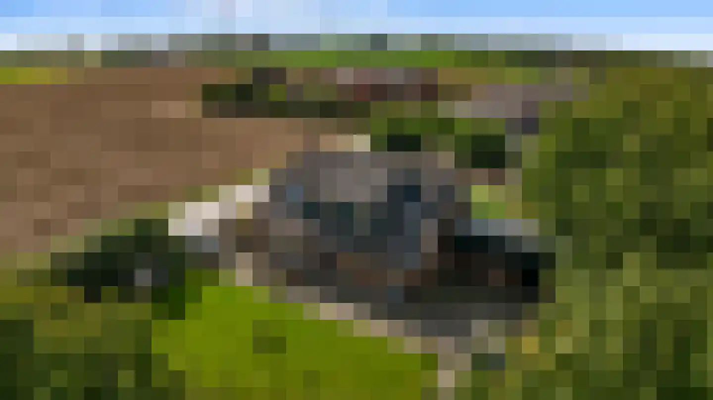 Rijksweg A 79 79 Klimmen thumbnail 65