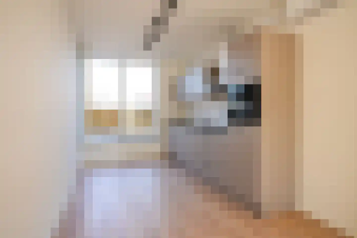 Rijksweg Centrum 50 A Geleen thumbnail 6