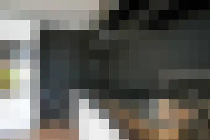Rijksweg Centrum 58 B Geleen thumbnail 13