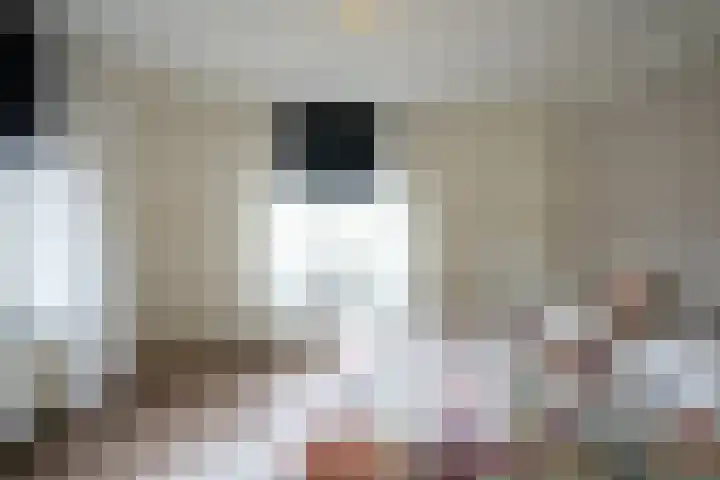 Rijksweg Centrum 58 B Geleen thumbnail 18