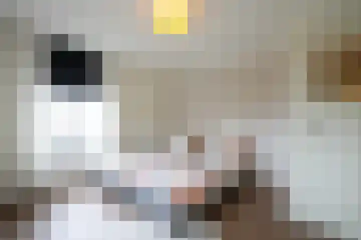 Rijksweg Centrum 58 B Geleen thumbnail 19