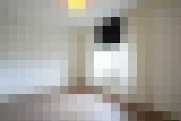 Rijksweg Centrum 58 B Geleen thumbnail 20