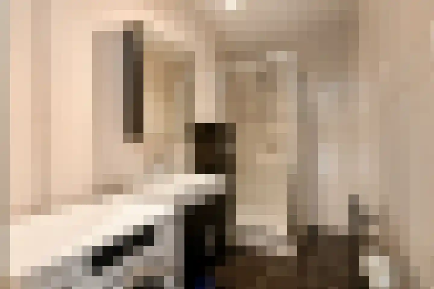 Rijksweg-Noord 1 2eV Elst thumbnail 25