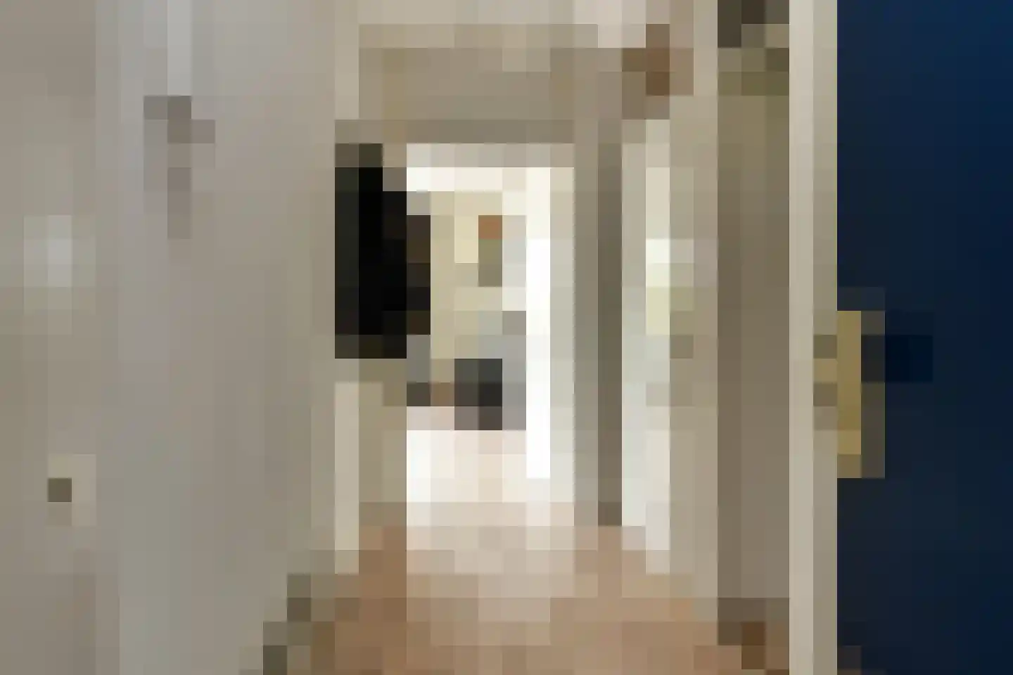 Rijksweg-Noord 1 2eV Elst thumbnail 5
