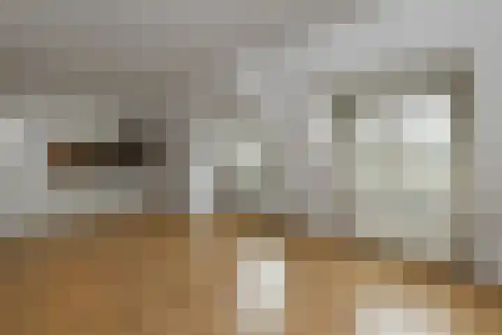 Rijksweg-Noord 1 3eV Elst thumbnail 11