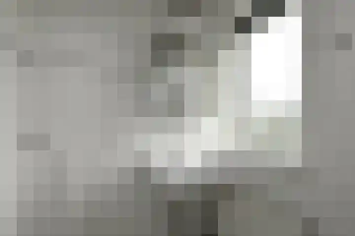 Rijksweg-Noord 1 3eV Elst thumbnail 20
