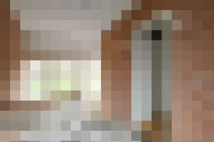 Rijksweg-Noord 1 3eV Elst thumbnail 7