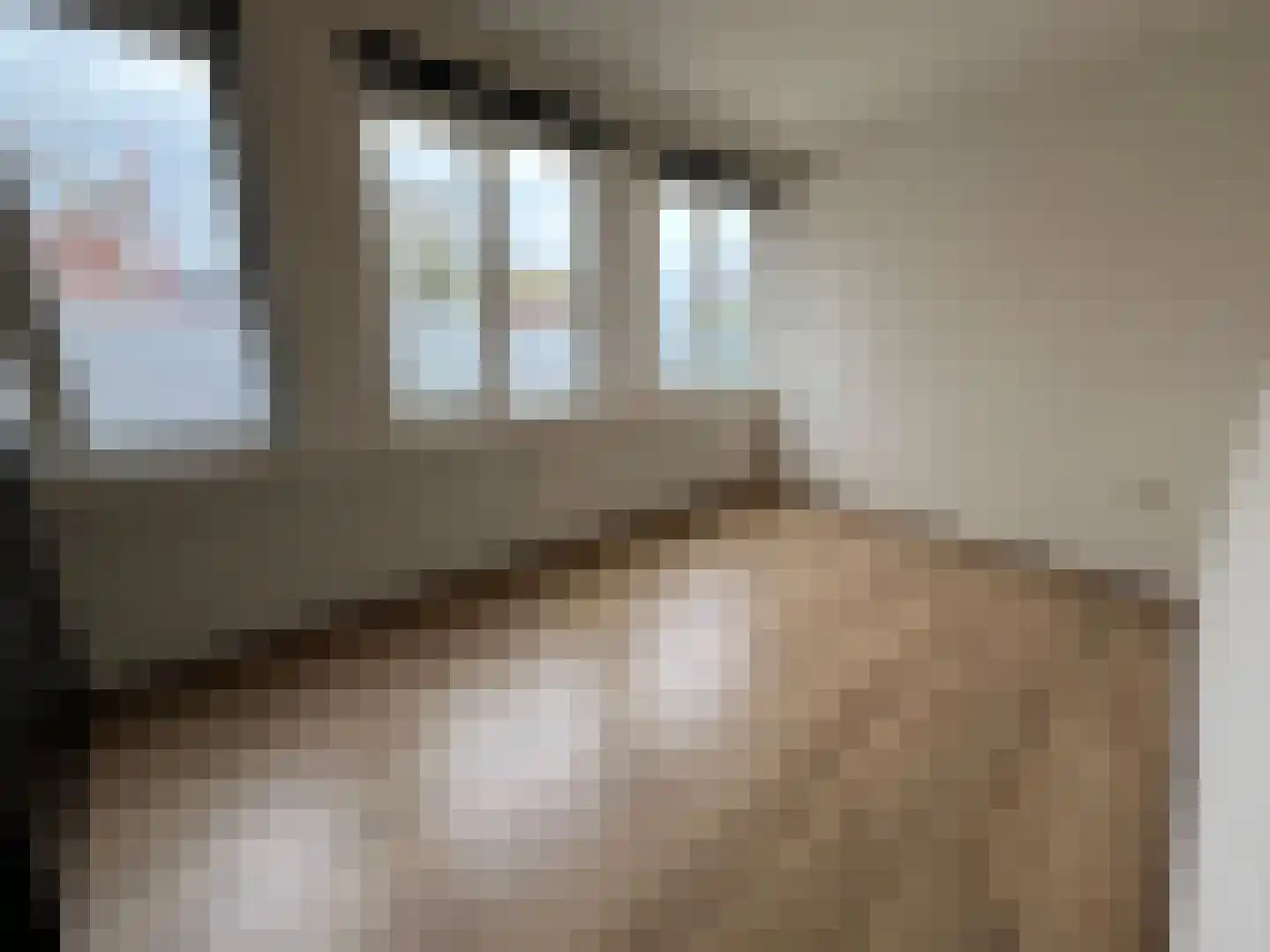 Rijksweg Noord 1 A II Geleen thumbnail 10