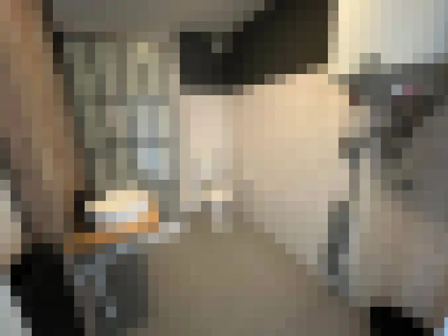 Rijksweg Noord 1 A II Geleen thumbnail 11