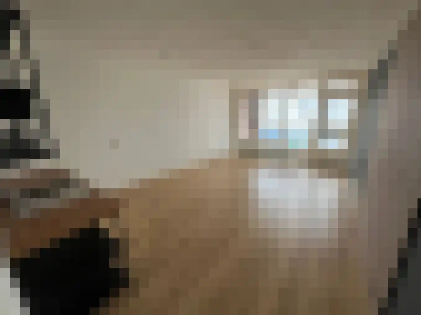 Rijksweg Noord 1 A II Geleen thumbnail 4