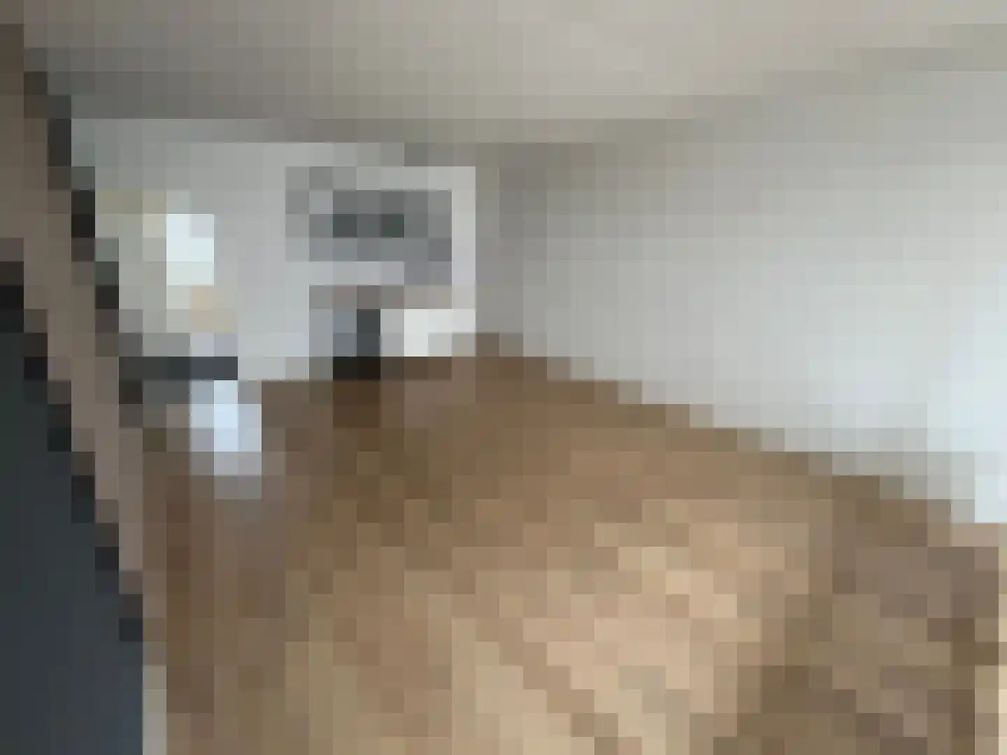 Rijksweg Noord 1 A II Geleen thumbnail 5