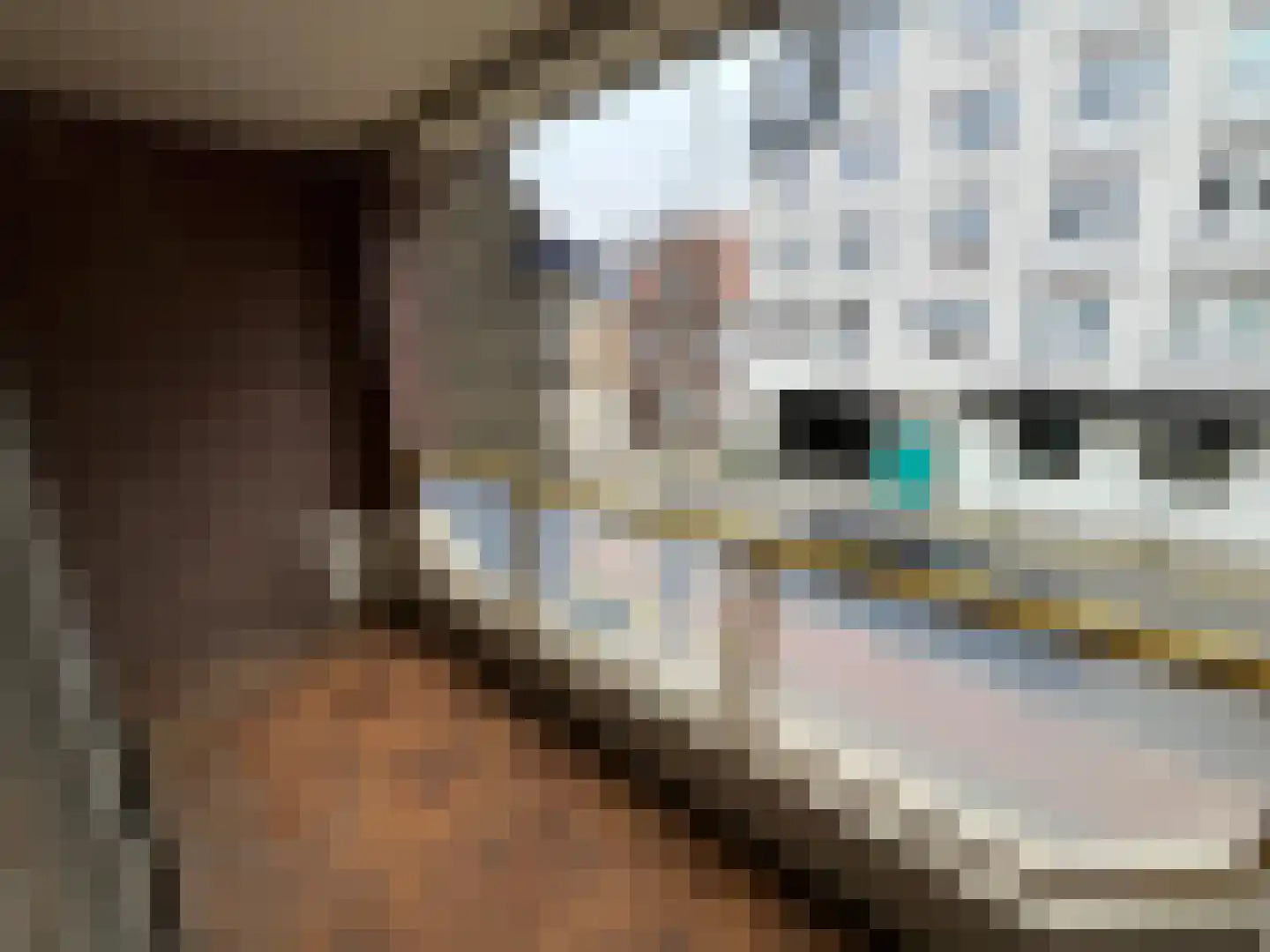 Rijksweg Noord 1 A II Geleen thumbnail 8