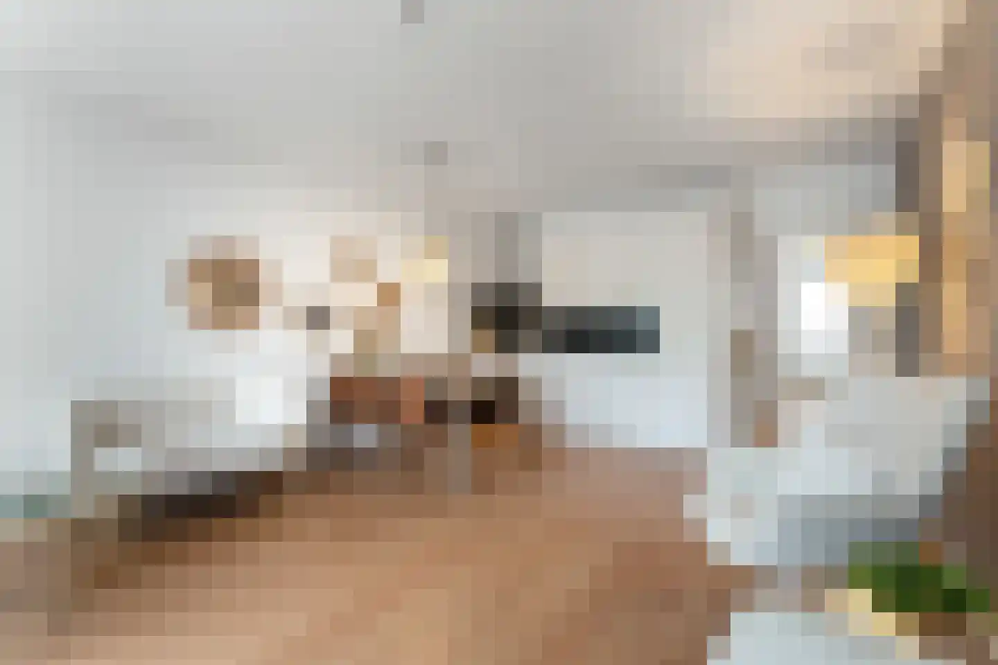Rijksweg Noord 1 G II Geleen thumbnail 18