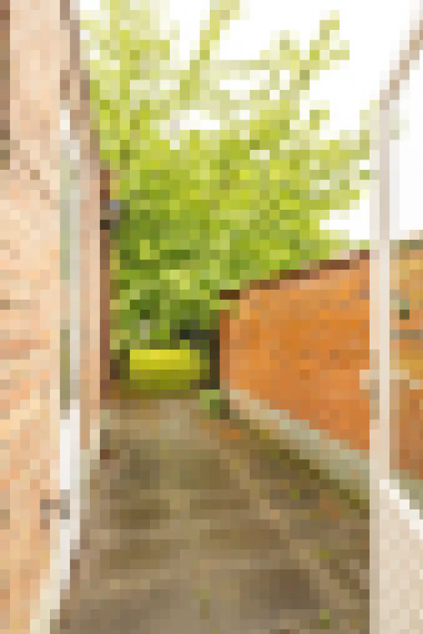 Rijksweg Noord 119 Sittard thumbnail 37