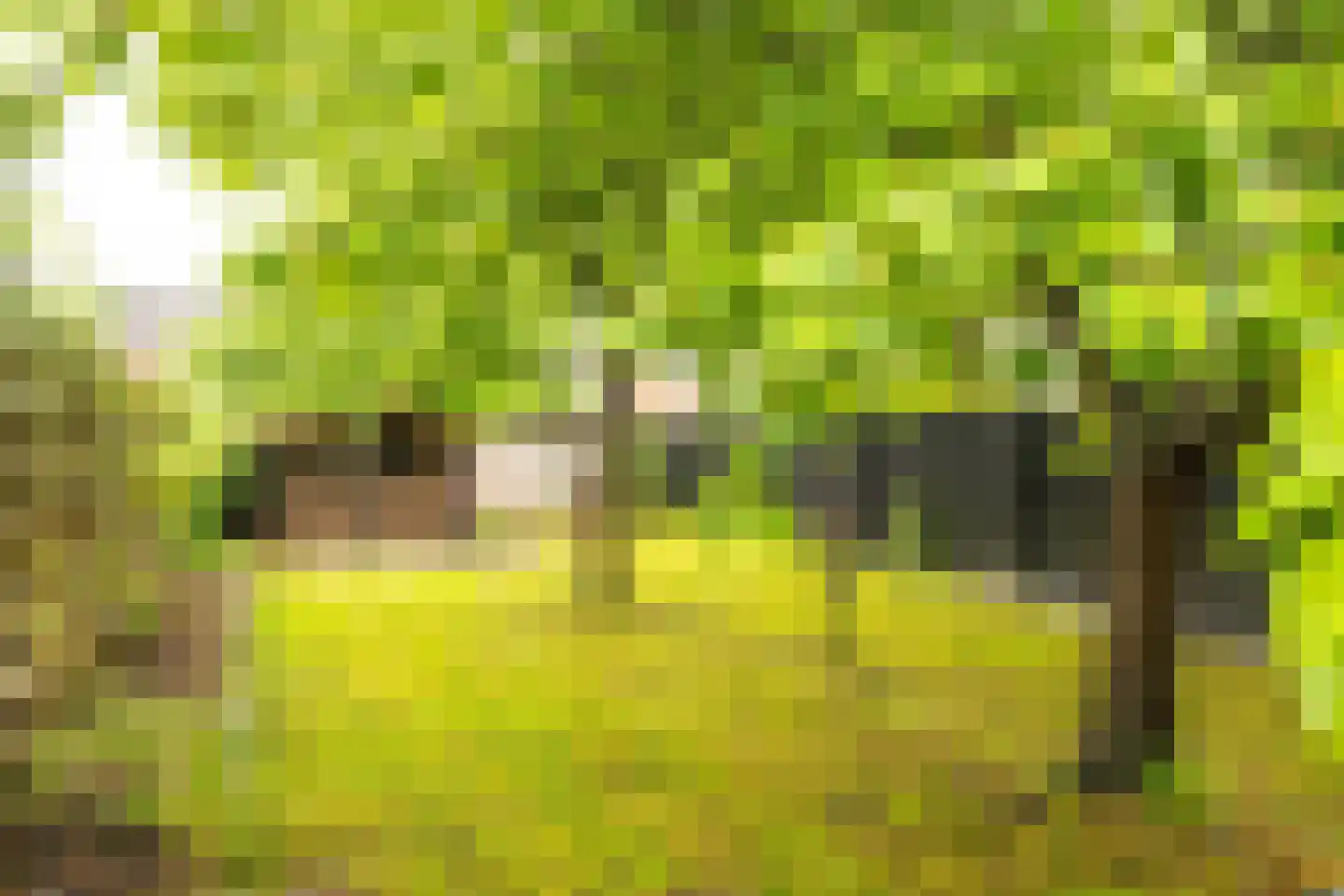 Rijksweg Noord 119 Sittard thumbnail 38
