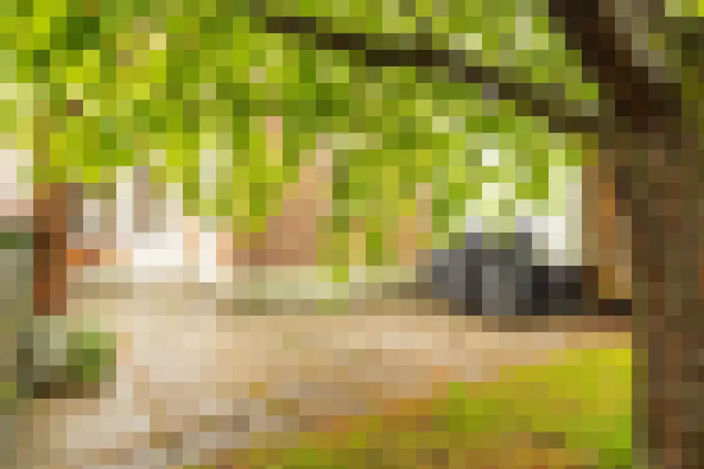 Rijksweg Noord 119 Sittard thumbnail 39