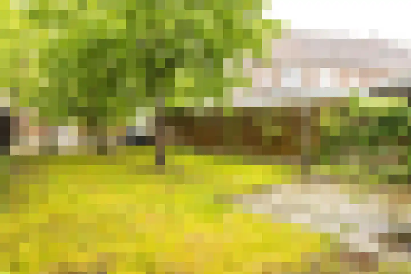 Rijksweg Noord 119 Sittard thumbnail 40