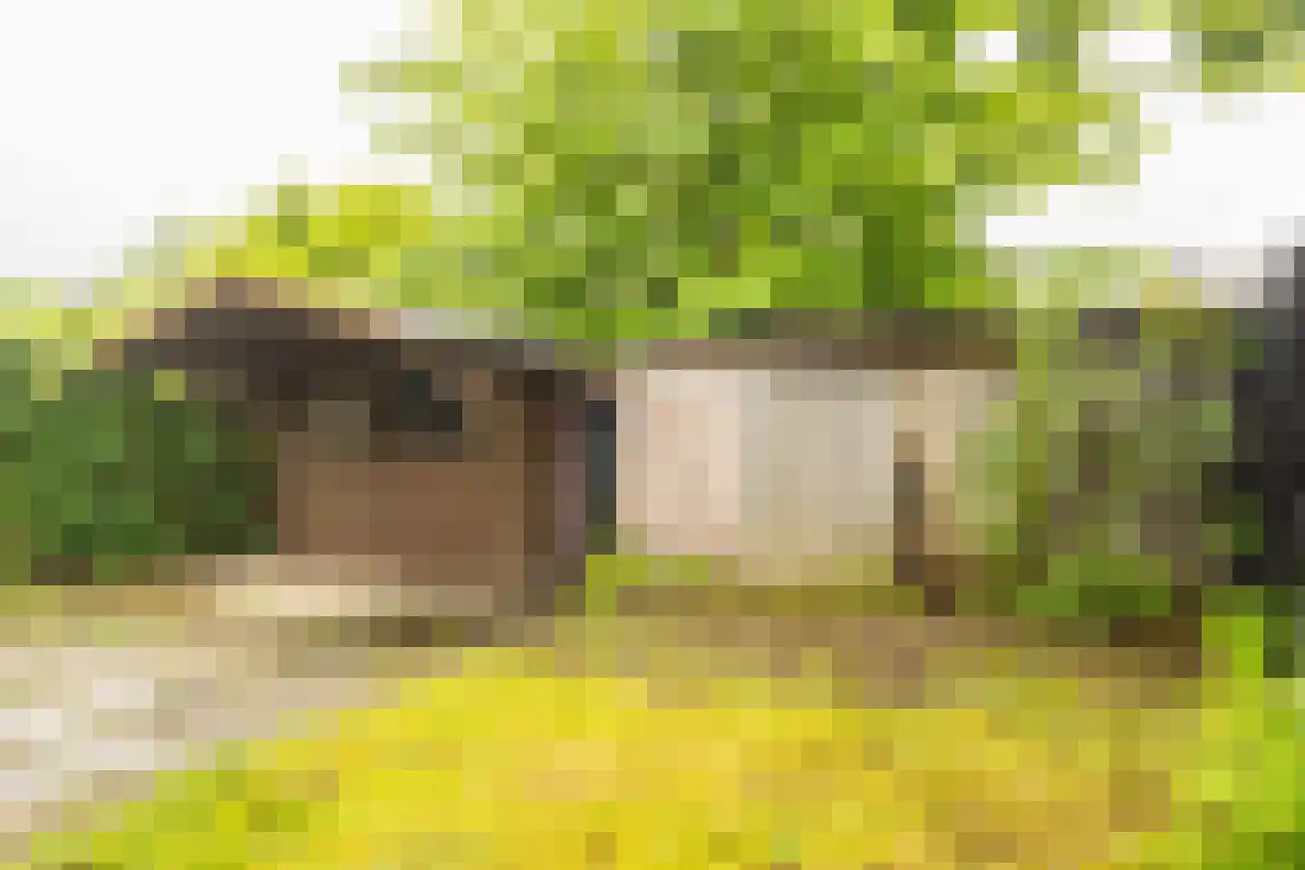 Rijksweg Noord 119 Sittard thumbnail 41