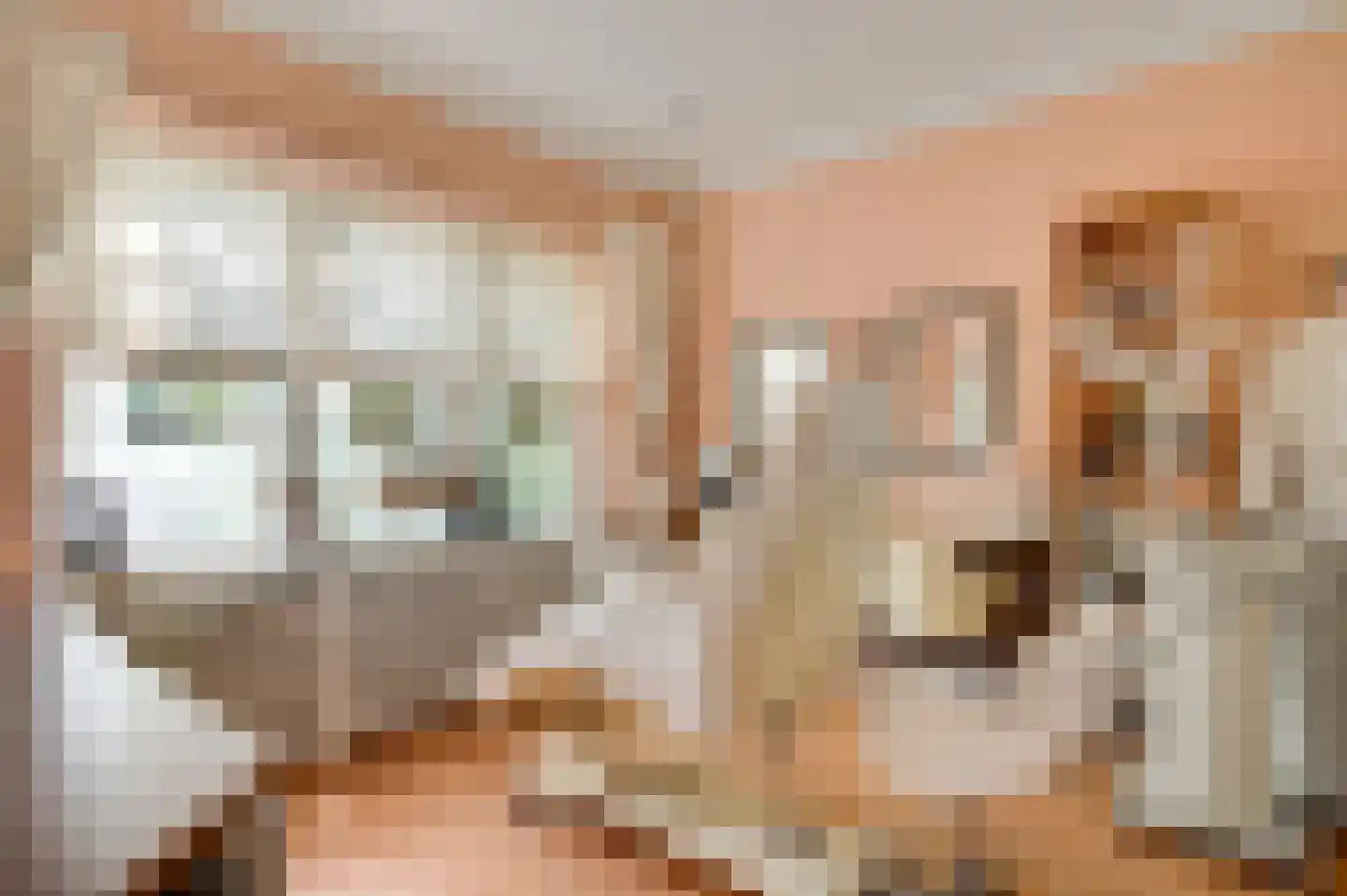 Rijksweg Noord 126 Geleen thumbnail 17