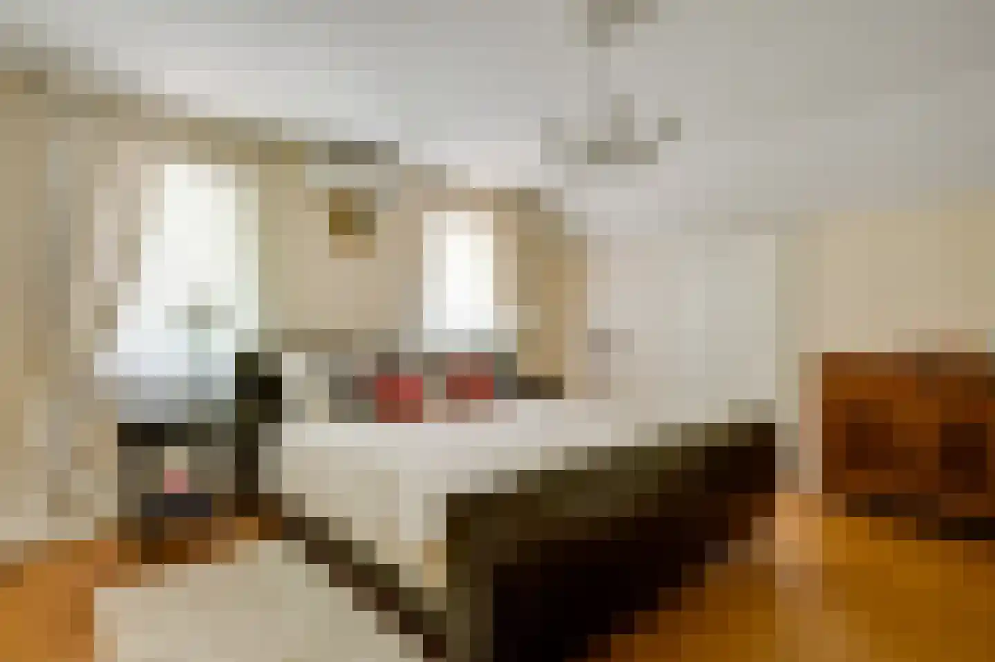 Rijksweg Noord 126 Geleen thumbnail 20