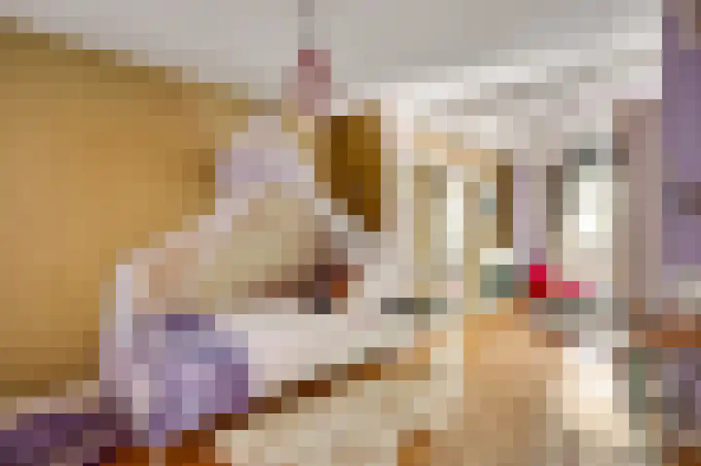 Rijksweg Noord 126 Geleen thumbnail 22