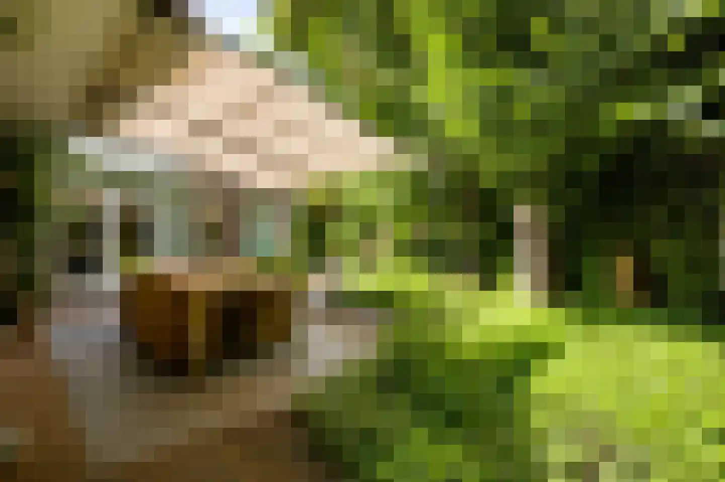 Rijksweg Noord 126 Geleen thumbnail 28