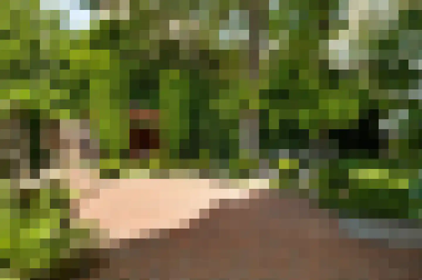 Rijksweg Noord 126 Geleen thumbnail 30