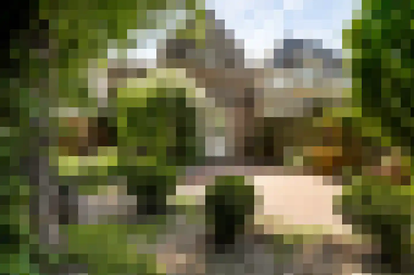Rijksweg Noord 126 Geleen thumbnail 31