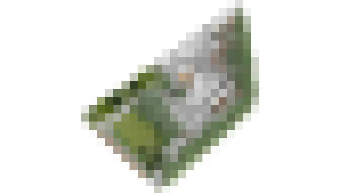 Rijksweg Noord 126 Geleen thumbnail 36