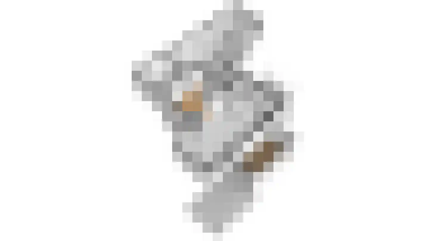 Rijksweg Noord 126 Geleen thumbnail 38