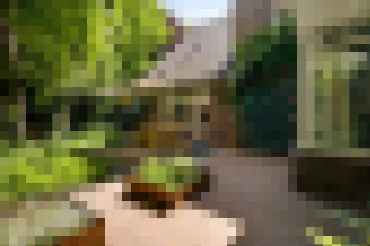 Rijksweg Noord 126 Geleen thumbnail 4