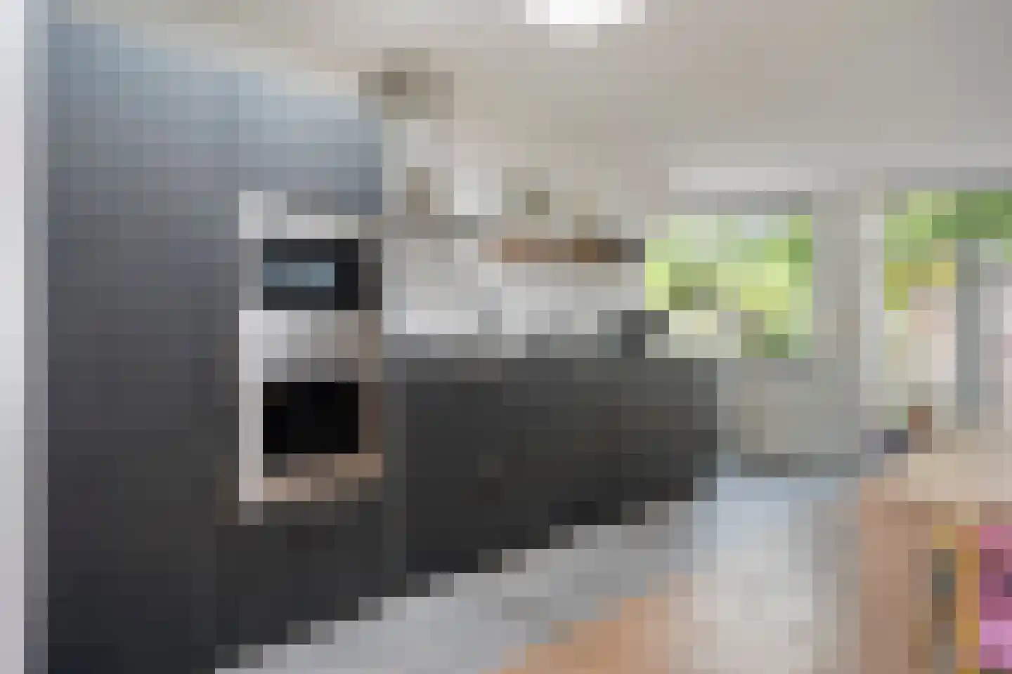 Rijksweg Noord 129 Sittard thumbnail 14