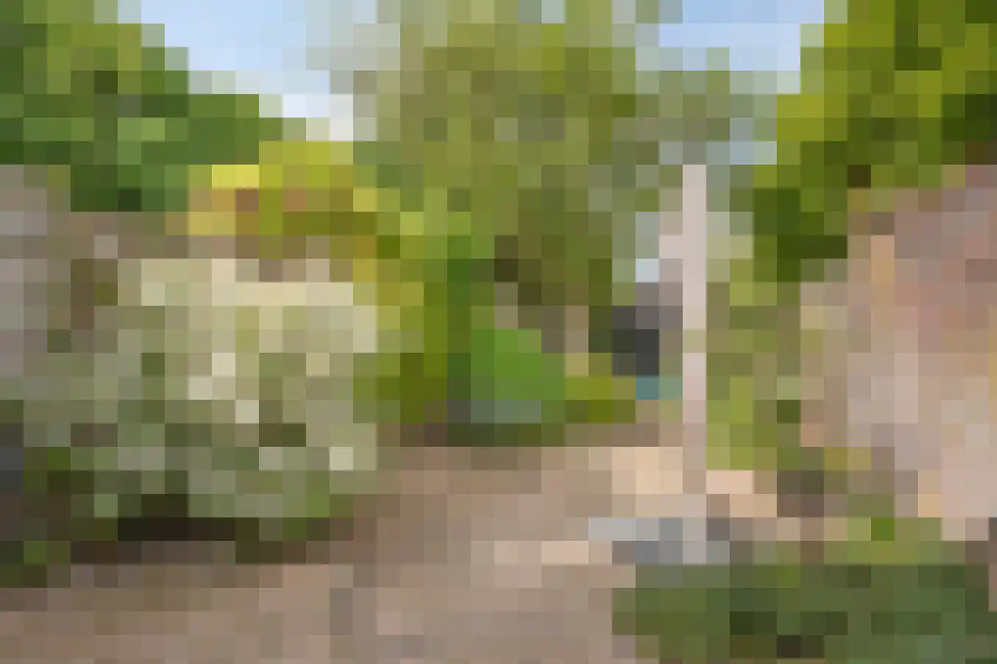 Rijksweg Noord 129 Sittard thumbnail 25