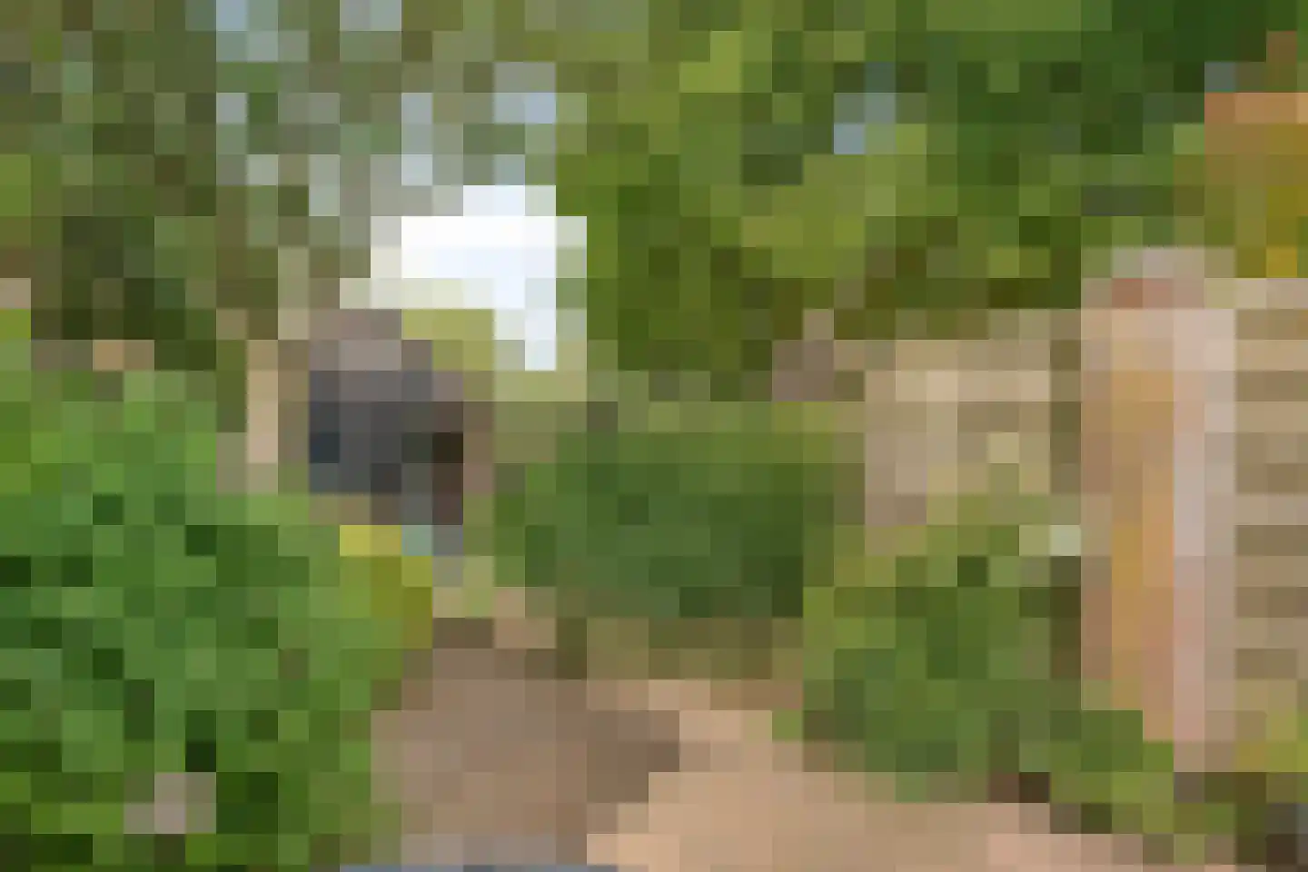 Rijksweg Noord 129 Sittard thumbnail 30