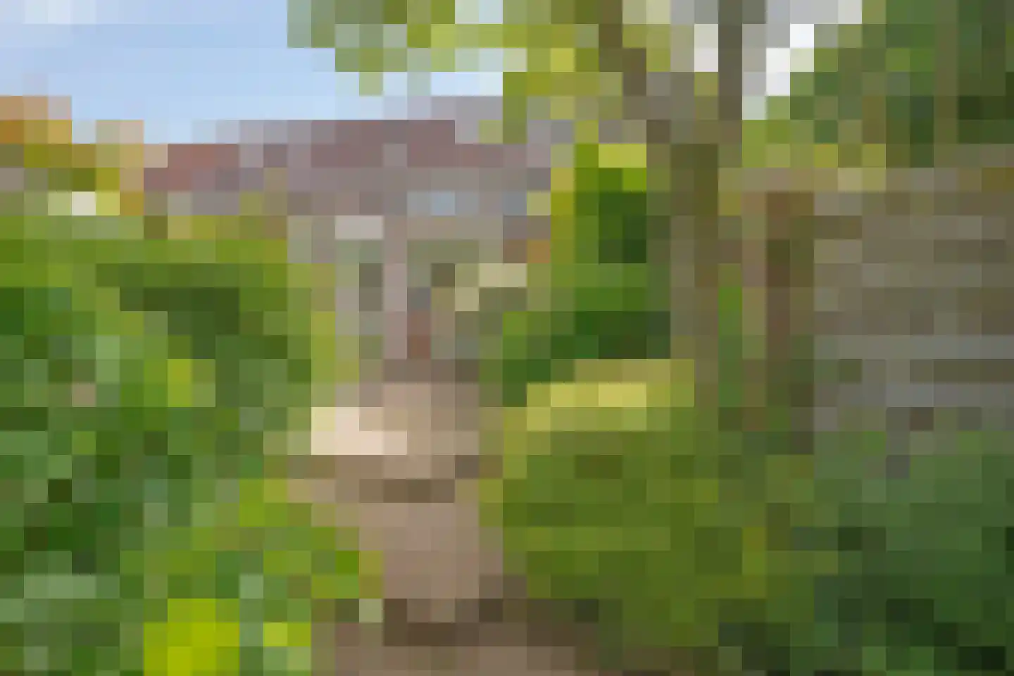 Rijksweg Noord 129 Sittard thumbnail 31