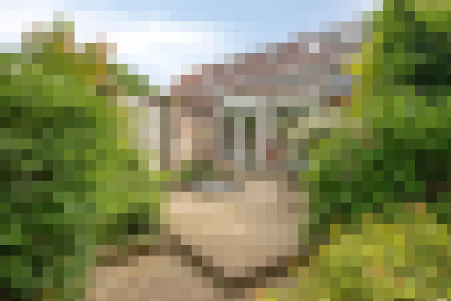 Rijksweg Noord 129 Sittard thumbnail 32