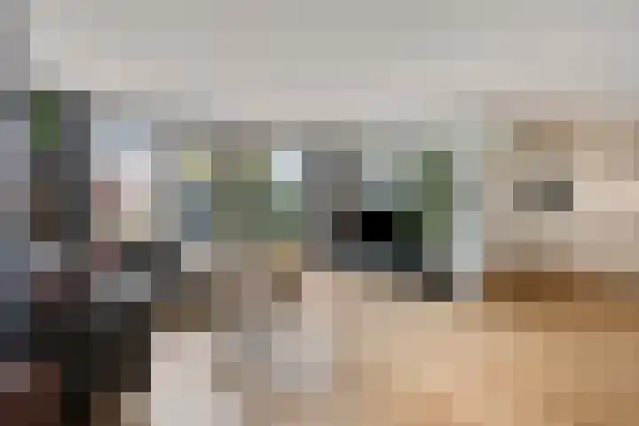 Rijksweg Noord 176 Geleen thumbnail 11