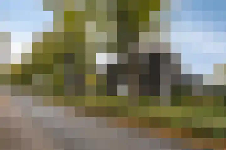 Rijksweg Noord 176 Geleen thumbnail 38