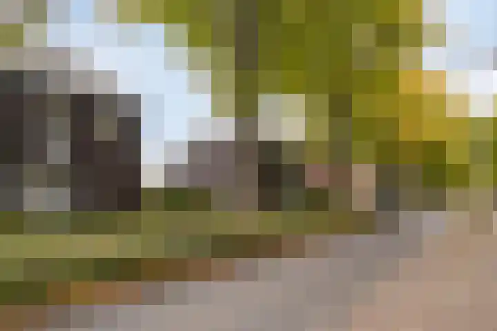 Rijksweg Noord 176 Geleen thumbnail 39