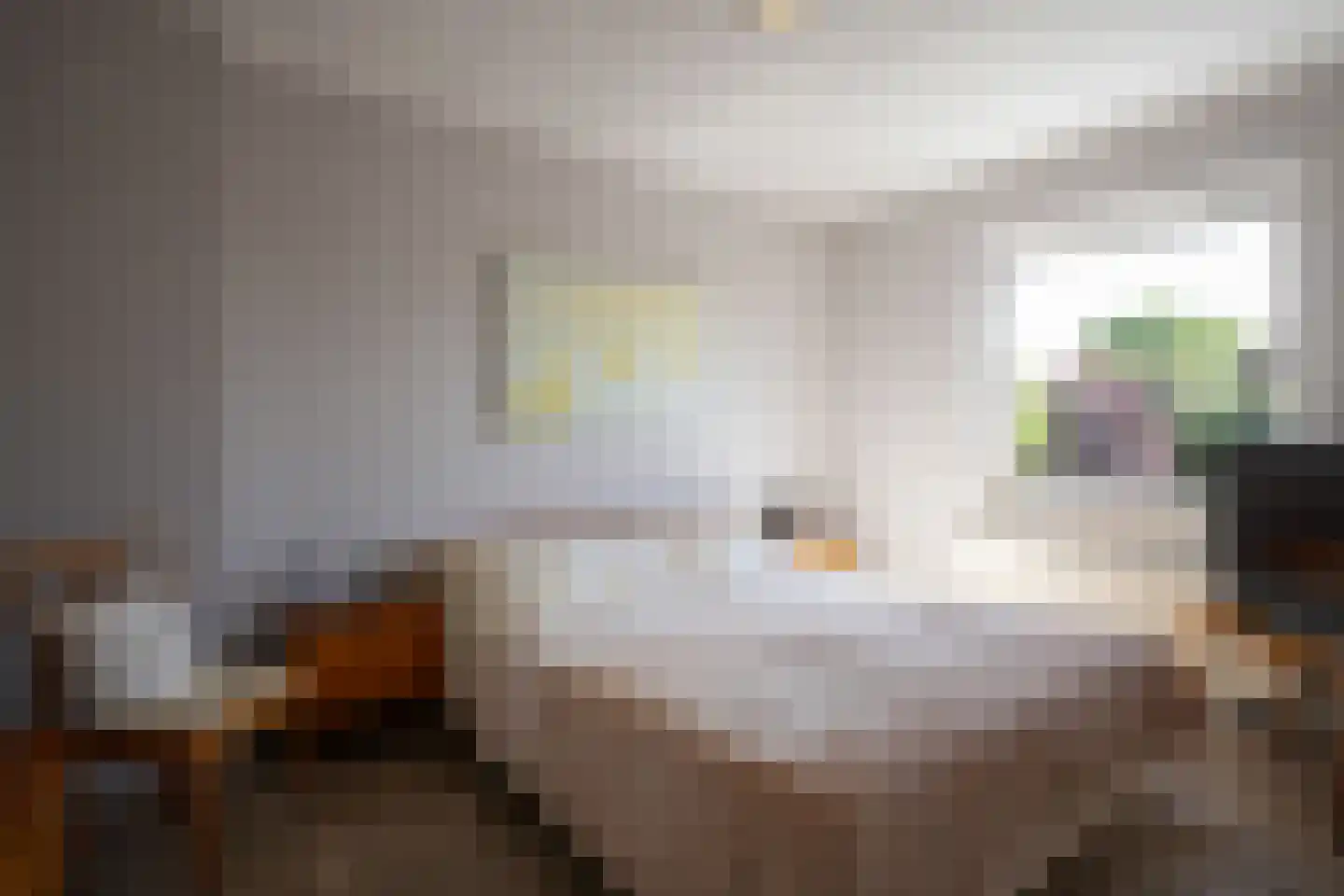 Rijksweg Noord 185 Geleen thumbnail 16
