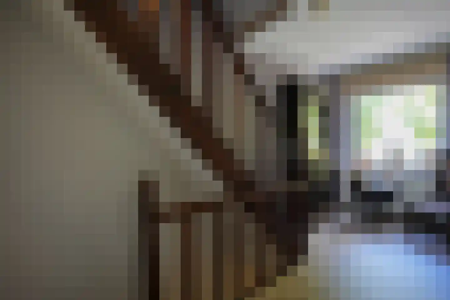 Rijksweg Noord 185 Geleen thumbnail 19