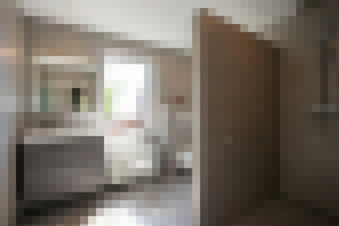 Rijksweg Noord 185 Geleen thumbnail 20